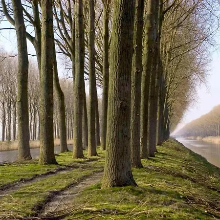 Balcony Views & Comfort Apartment *