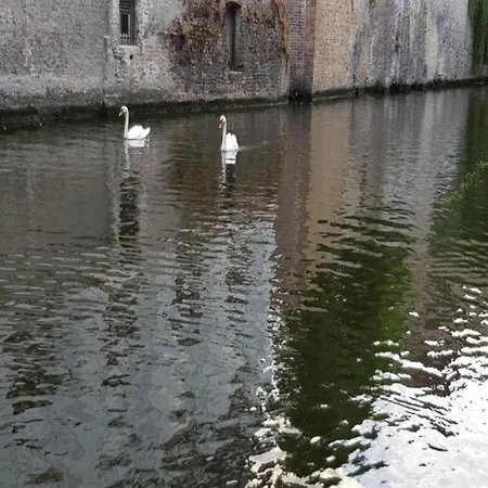 Balcony Views & Comfort Daire *